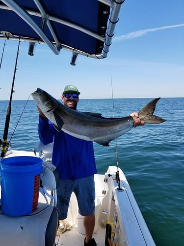 Nearshore Reds, Sharks, Jack Fish In Galveston