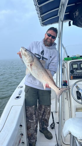 Nearshore Reds, Sharks, Jack Fish In Galveston