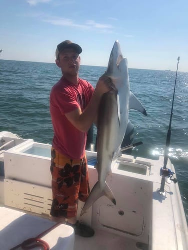 Nearshore Reds, Sharks, Jack Fish In Galveston