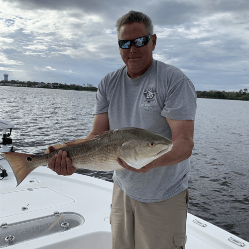 Inshore To Nearshore - 25’ SeaPro In Biloxi