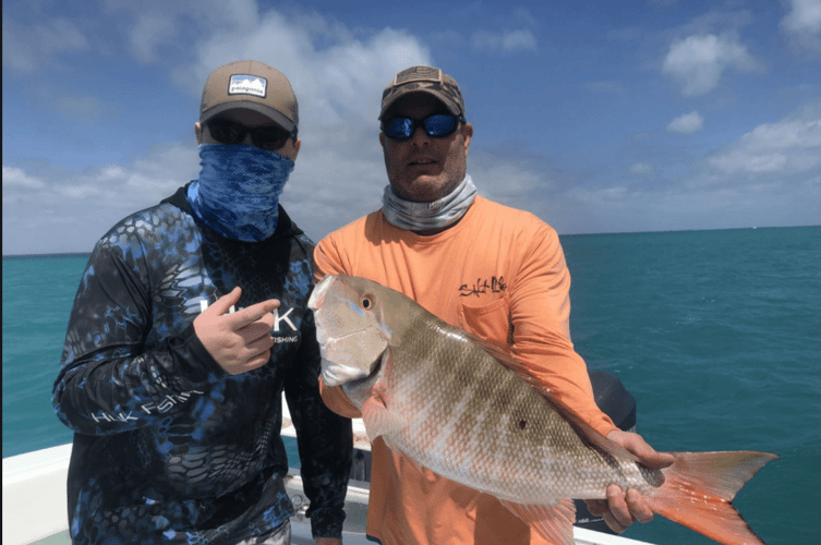 Reef Fishing Action In Key Largo