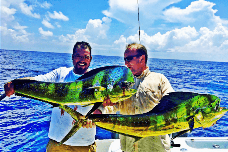 Reef Fishing Action In Key Largo