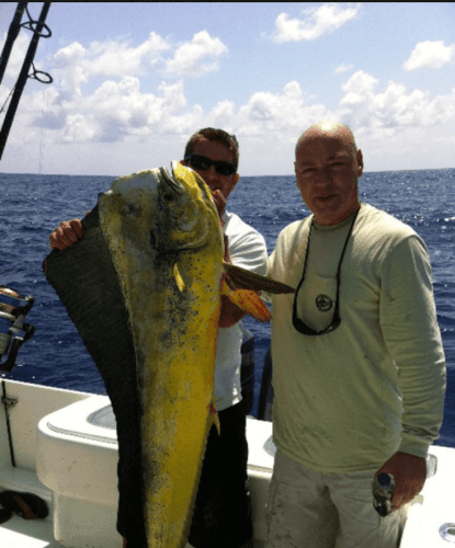 Reef Fishing Action In Key Largo