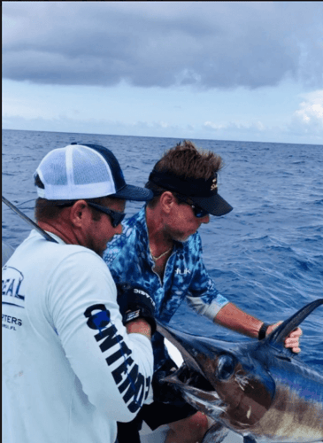 Swordfish Slam In Key Largo