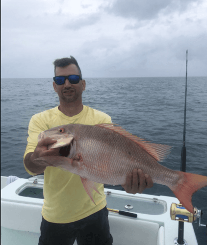Reef Fishing Action In Key Largo