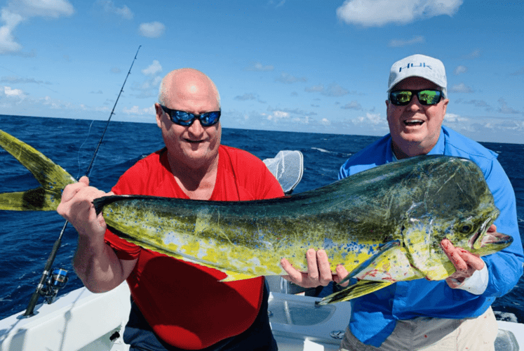 Reef Fishing Action In Key Largo