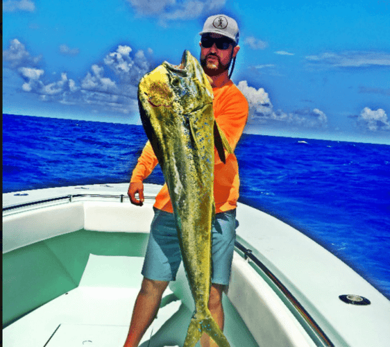 Reef Fishing Action In Key Largo