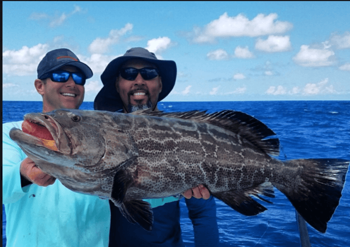 Reef Fishing Action In Key Largo