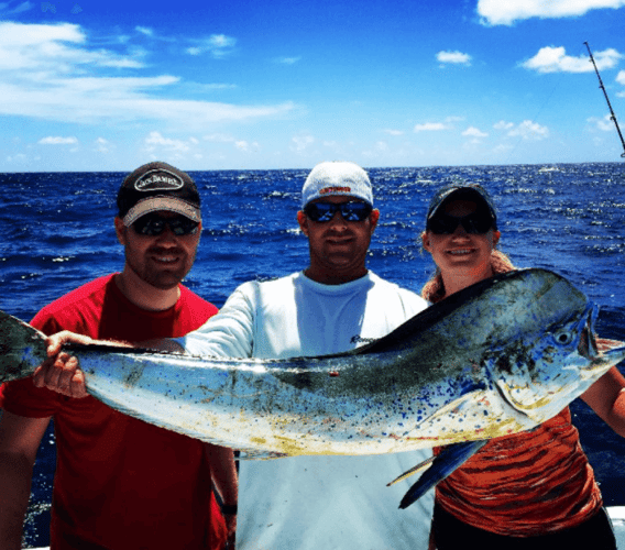 Reef Fishing Action In Key Largo