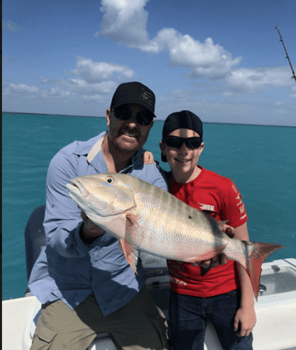Reef Fishing Action In Key Largo