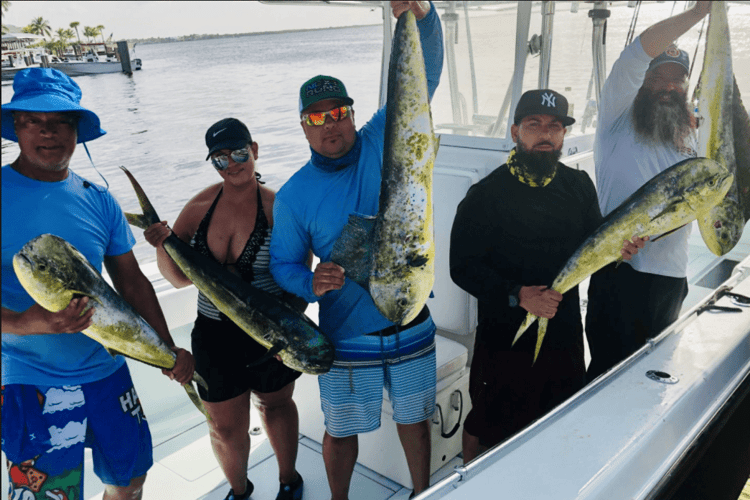 Reef Fishing Action In Key Largo