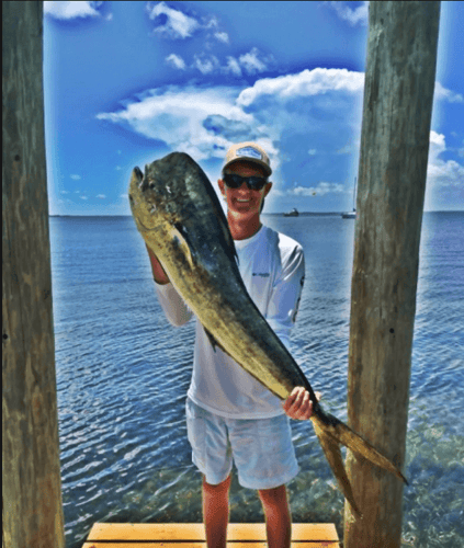 Reef Fishing Action In Key Largo