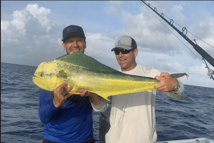 Reef Fishing Action In Key Largo