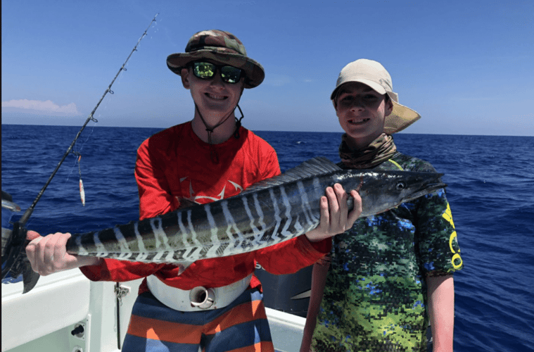 Reef Fishing Action In Key Largo