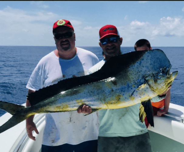 Reef Fishing Action In Key Largo