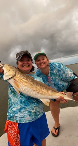 Half-Day Trip (Palacios TX) In Matagorda