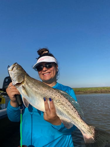 Half-Day Trip (Palacios TX) in Matagorda