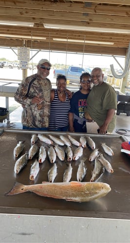 Half-Day Trip (Palacios TX) In Matagorda