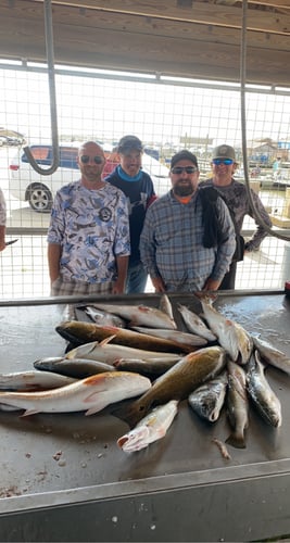 Half-Day Trip (Palacios TX) In Matagorda