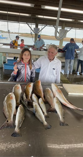 Half-Day Trip (Palacios TX) In Matagorda