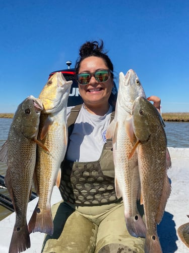 Half-Day Trip (Palacios TX) in Matagorda