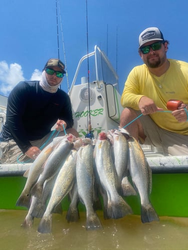 Half-Day Trip (Palacios TX) in Matagorda