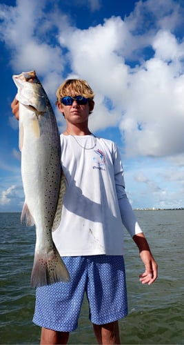 Half-Day Trip (Palacios TX) in Matagorda
