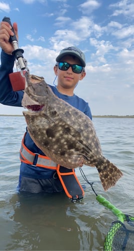 Half-Day Trip (Palacios TX) in Matagorda