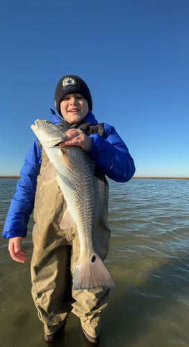 Half-Day Trip (Palacios TX) in Matagorda