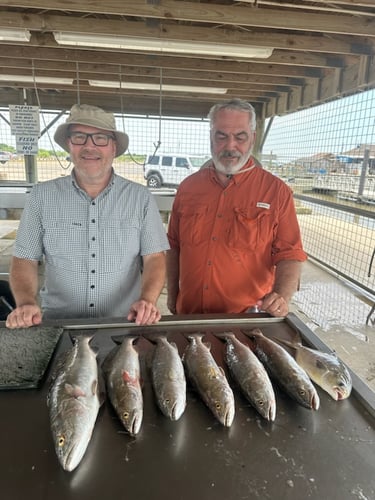 Half-Day Trip (Palacios TX) In Matagorda