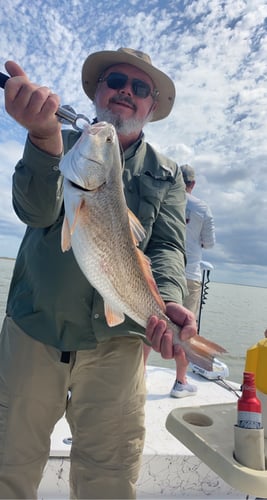 Half-Day Trip (Palacios TX) in Matagorda
