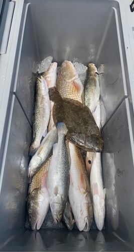 Half-Day Trip (Palacios TX) in Matagorda