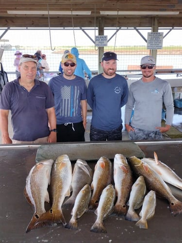 Half-Day Trip (Palacios TX) In Matagorda