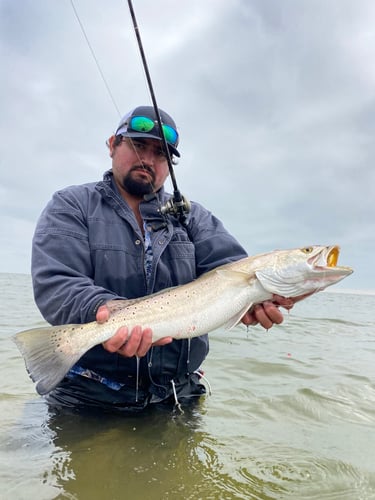 Half-Day Trip (Palacios TX) In Matagorda