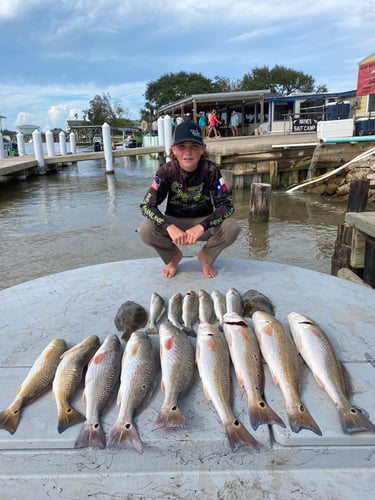 Half-Day Trip (Palacios TX) In Matagorda