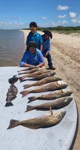 Half-Day Trip (Palacios TX) in Matagorda