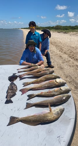 Half-Day Trip (Palacios TX) In Matagorda