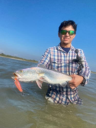 Half-Day Trip (Palacios TX) in Matagorda