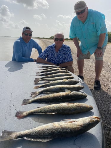 Half-Day Trip (Palacios TX) In Matagorda