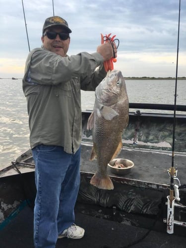 Airboat Fishing Adventure In Rockport