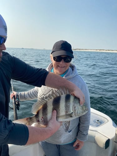 Half Day Nearshore Fishing In Pensacola