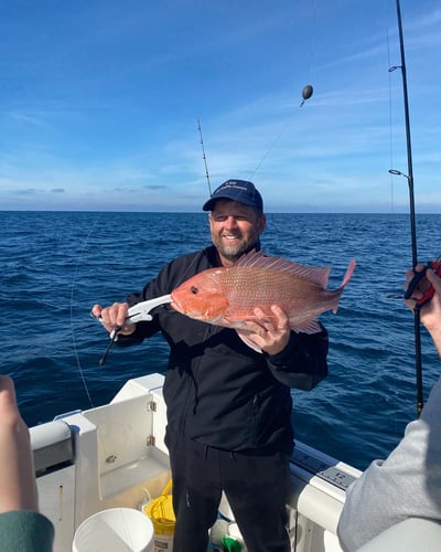 3-Hour Pensacola Angler's Delight In Pensacola