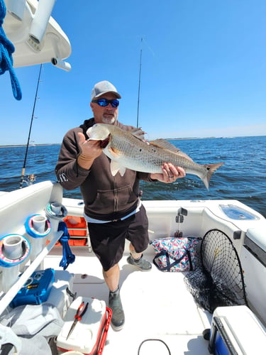 3-Hour Pensacola Angler's Delight In Pensacola