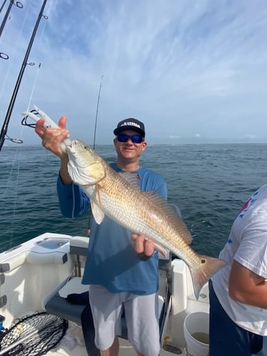 4 Hr Splash And Catch In Pensacola