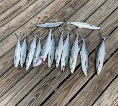 4 Hr Splash And Catch In Pensacola