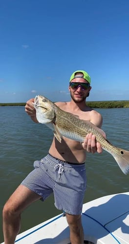 Inshore Slam - 22' Majek in Rockport