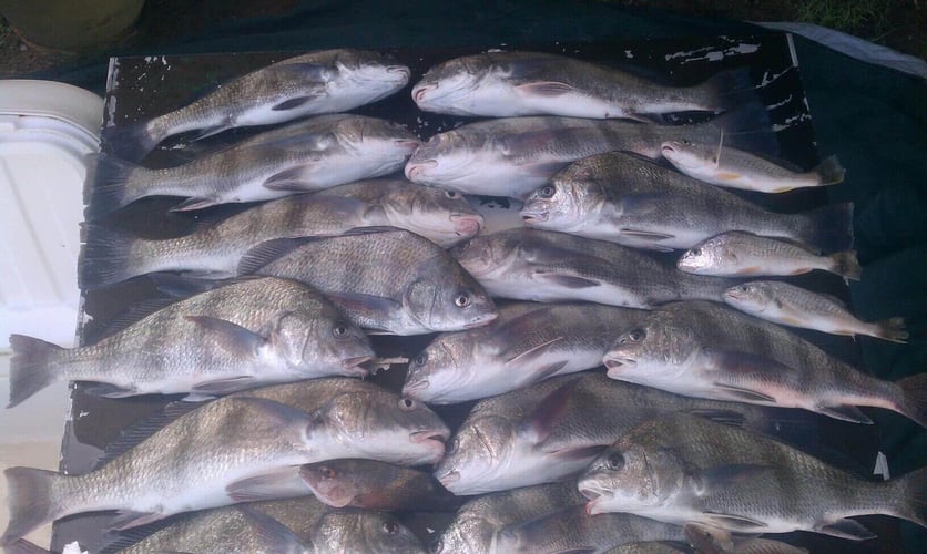 Laguna Madre Hookfest in South Padre Island