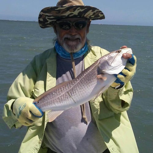 Laguna Madre Hookfest In South Padre Island