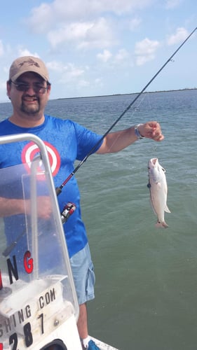 Laguna Madre Hookfest In South Padre Island