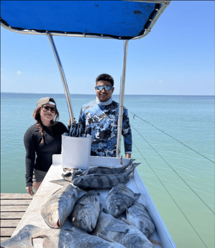 Drifting Laguna Madre For Pigs In Port Isabel